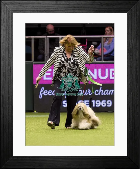 Framed Print : Crufts 2018