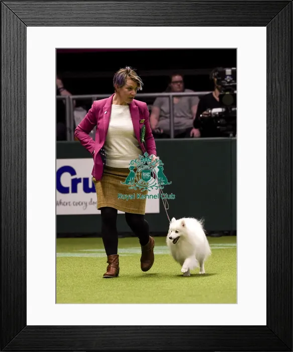 Framed Print : Crufts 2018 Framed Print : Crufts 2018