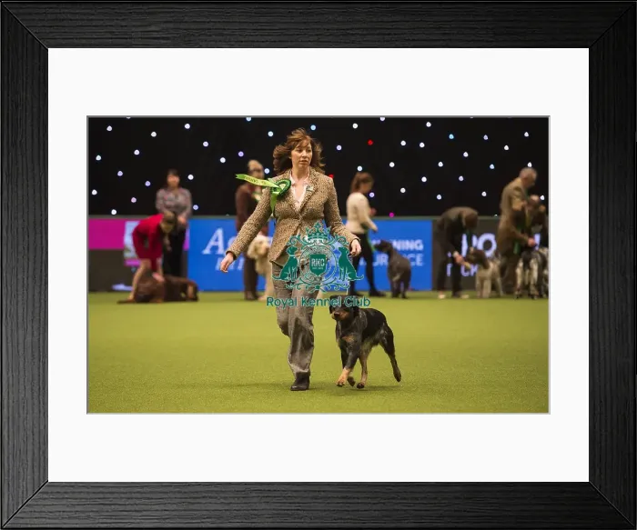 Framed Print : Crufts 2018 Framed Print : Crufts 2018