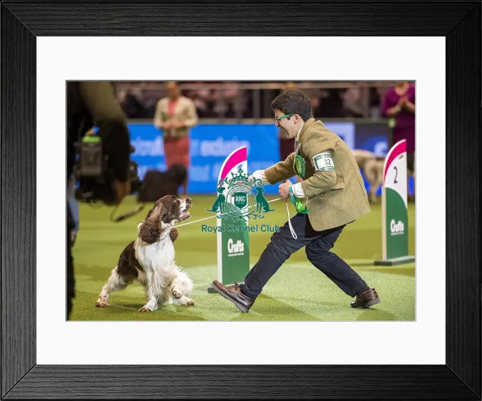 Framed Print : Crufts 2018 Framed Print : Crufts 2018