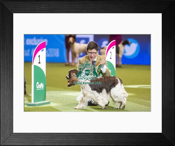 Framed Print : Crufts 2018 Framed Print : Crufts 2018
