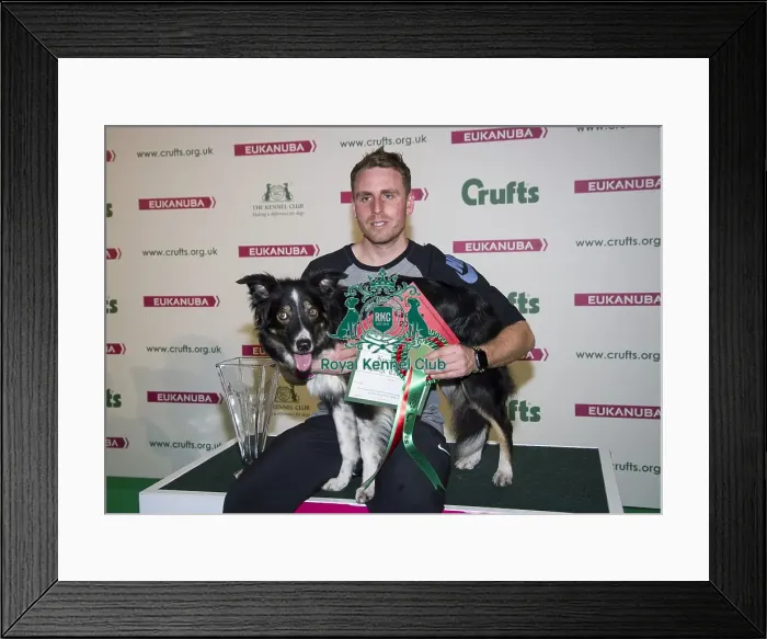 Framed Print : Crufts 2018 Framed Print : Crufts 2018