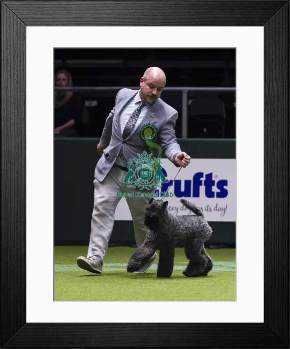 Framed Print : Crufts 2018 Framed Print : Crufts 2018
