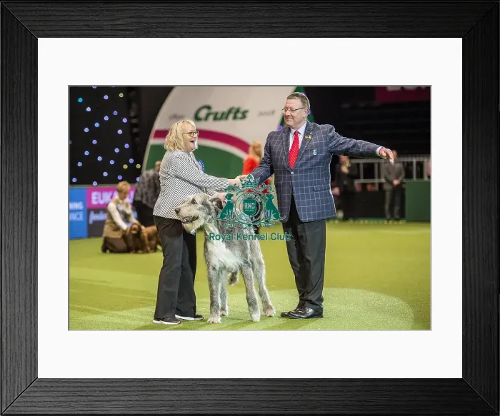 Framed Print : Crufts 2018 Framed Print : Crufts 2018