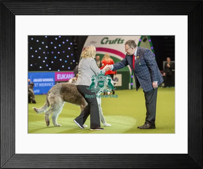 Framed Print : Crufts 2018 Framed Print : Crufts 2018