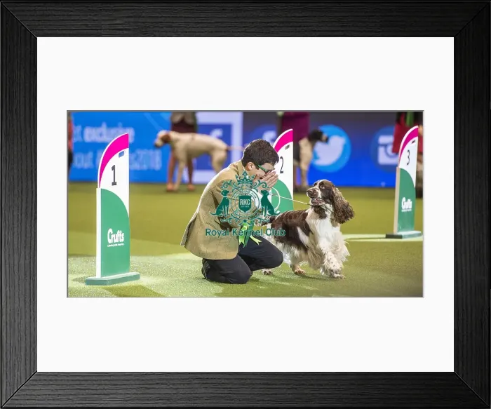 Framed Print : Crufts 2018 Framed Print : Crufts 2018