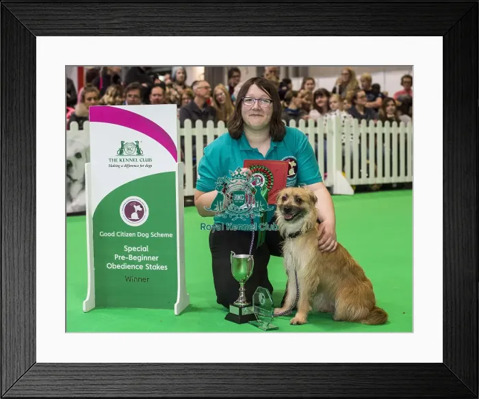 Framed Print : Crufts 2018 Framed Print : Crufts 2018