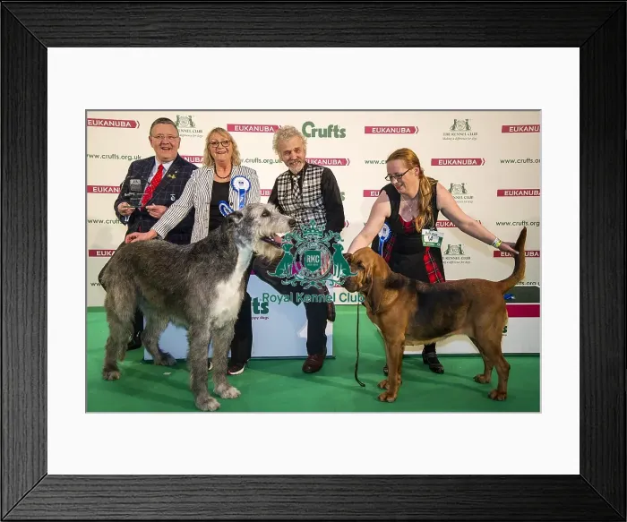 Framed Print : Crufts 2018
