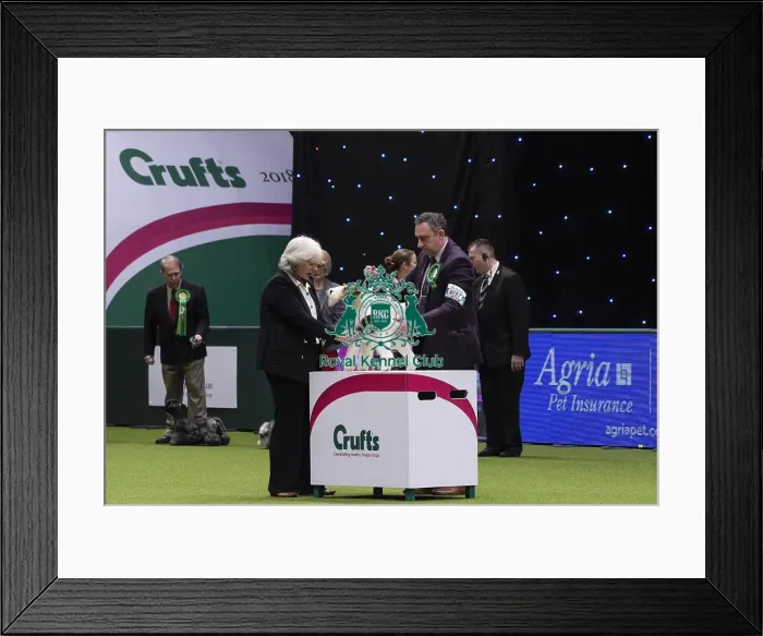 Framed Print : Crufts 2018 Framed Print : Crufts 2018