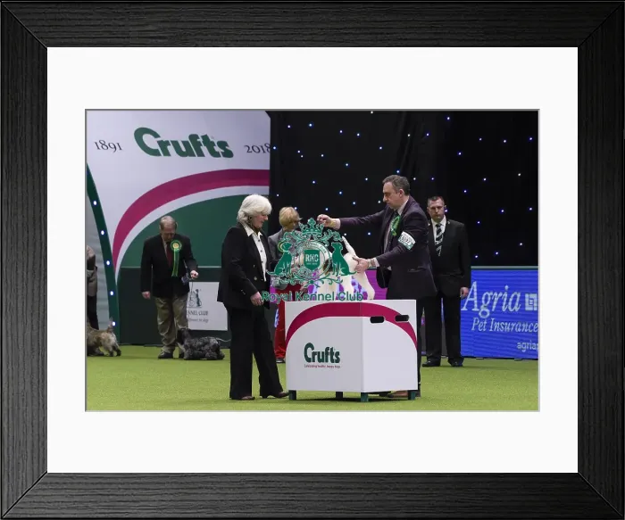 Framed Print : Crufts 2018 Framed Print : Crufts 2018