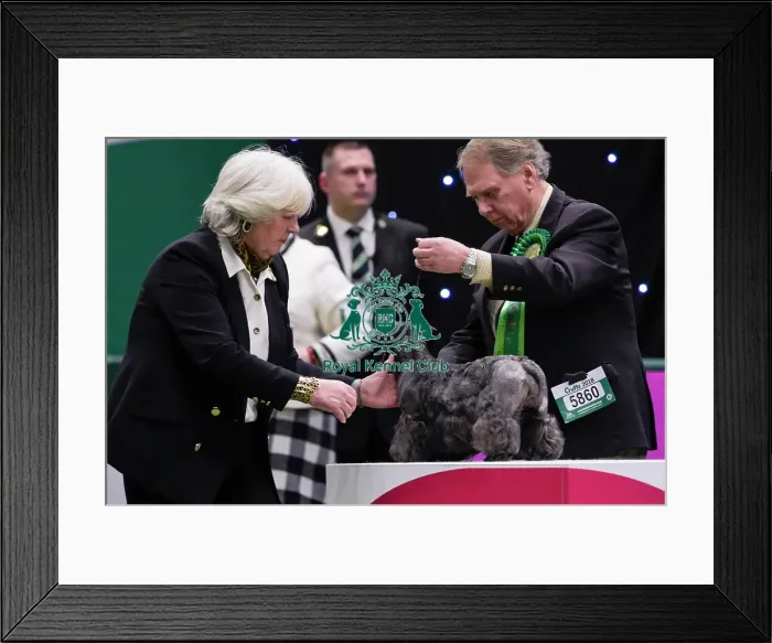 Framed Print : Crufts 2018 Framed Print : Crufts 2018
