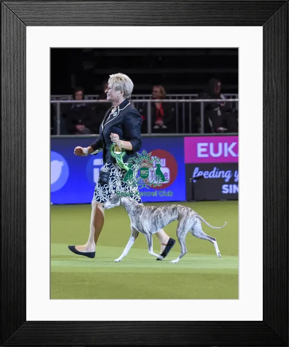 Framed Print : Crufts 2018 Framed Print : Crufts 2018