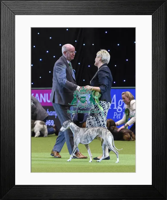 Framed Print : Crufts 2018 Framed Print : Crufts 2018