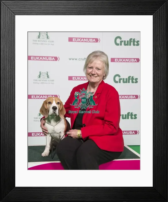 Framed Print : Crufts 2018 Framed Print : Crufts 2018