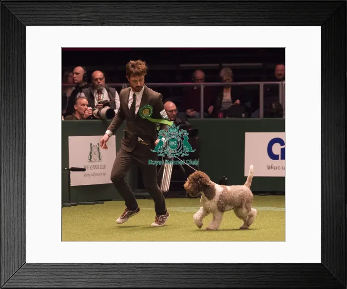 Framed Print : Crufts 2018 Framed Print : Crufts 2018