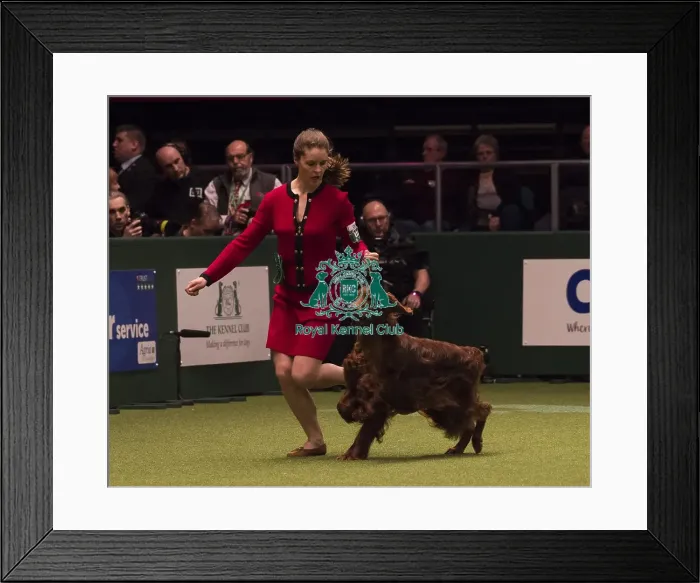 Framed Print : Crufts 2018 Framed Print : Crufts 2018