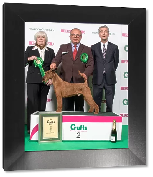 2018 Terrier Group 2nd place Irish Terrier