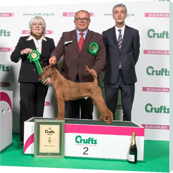 2018 Terrier Group 2nd place Irish Terrier