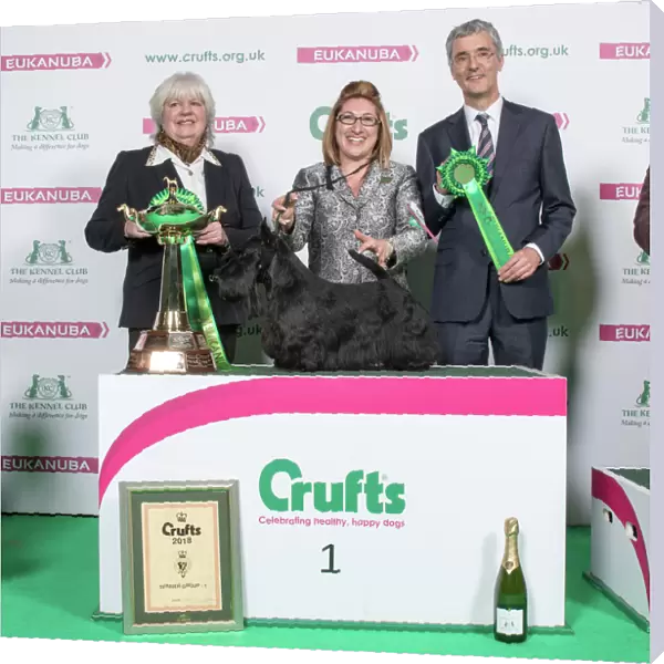 2018 Terrier Group Winner Scottish Terrier