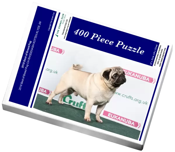 2018 Best of Breed Pug