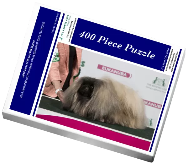 2018 Best of Breed Pekingese