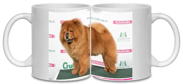 2018 Best of Breed Chow Chow