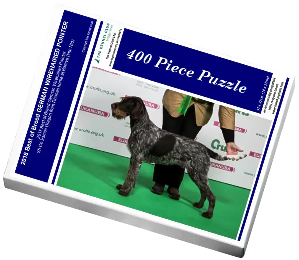 2018 Best of Breed GERMAN WIREHAIRED POINTER