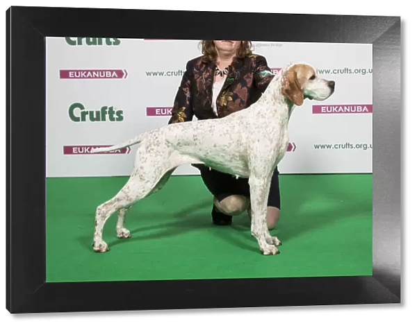 2018 Best of Breed POINTER