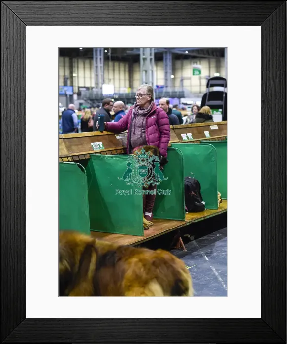 Framed Print : Crufts 2018 Framed Print : Crufts 2018