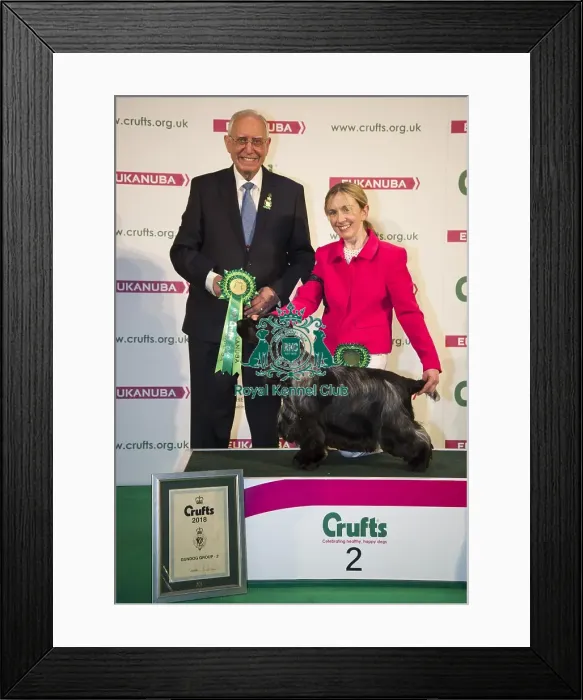 Framed Print : Crufts 2018 Framed Print : Crufts 2018