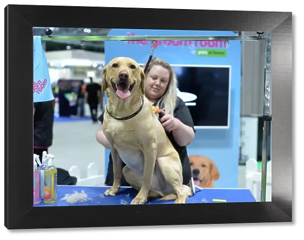 pets at home groom room stand