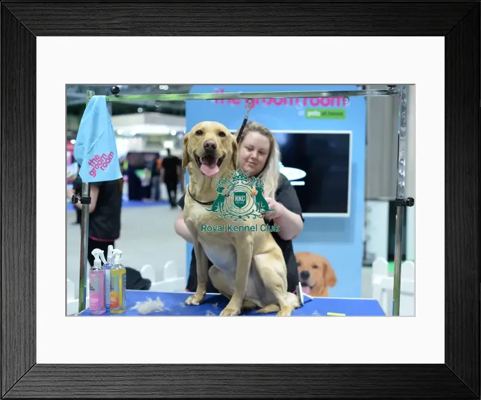 Framed Print : pets at home groom room stand Framed Print : pets at home groom room stand