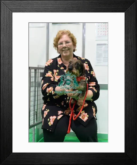 Framed Print : owner and her wirehaired dachshund at their discover dogs stand Framed Print : owner and her wirehaired dachshund at their discover dogs stand