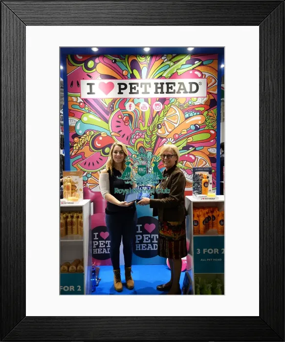 Framed Print : 2018 Best Trade Stand Framed Print : 2018 Best Trade Stand