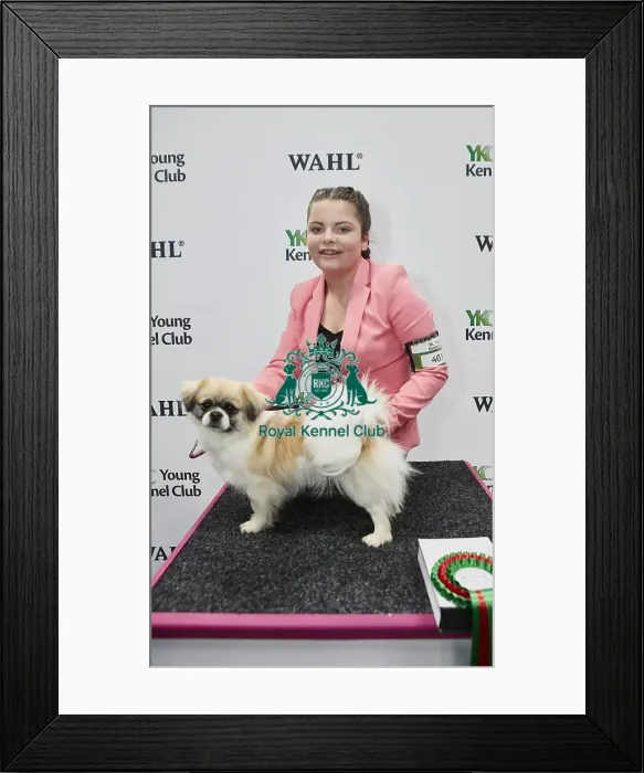 Framed Print : Crufts 2018 Framed Print : Crufts 2018