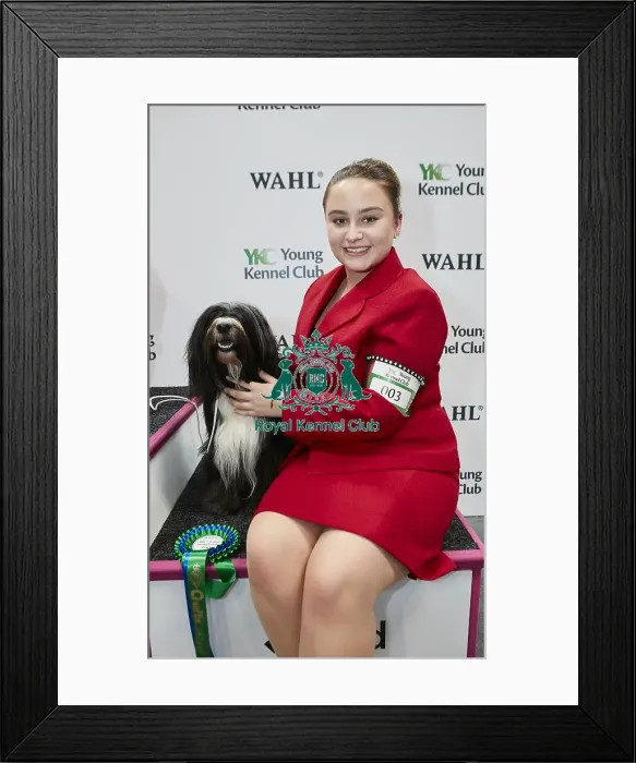 Framed Print : Crufts 2018 Framed Print : Crufts 2018