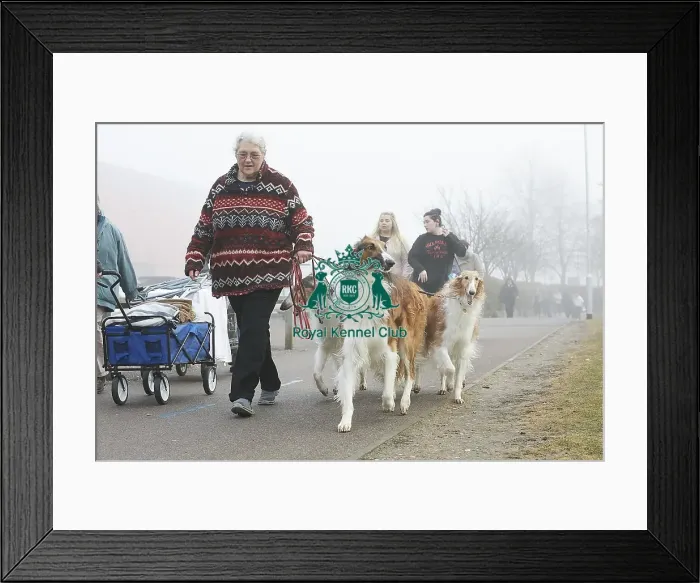 Framed Print : Crufts 2018 Framed Print : Crufts 2018