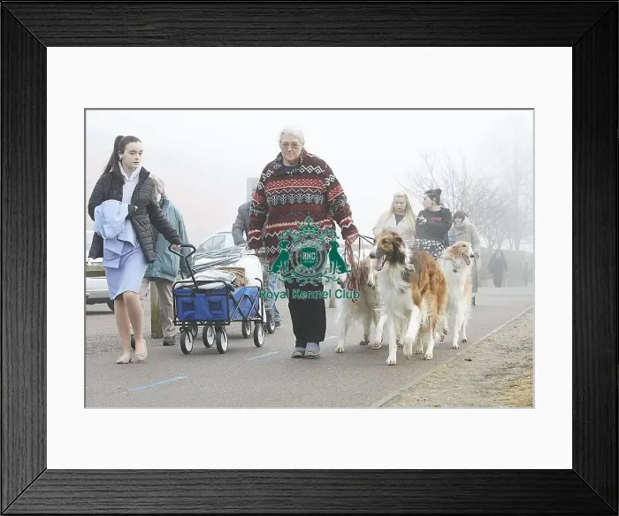 Framed Print : Crufts 2018 Framed Print : Crufts 2018