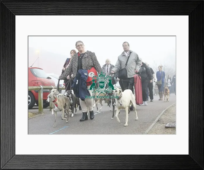 Framed Print : Crufts 2018 Framed Print : Crufts 2018