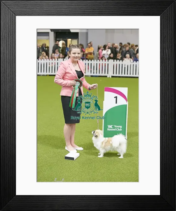 Framed Print : Crufts 2018 Framed Print : Crufts 2018