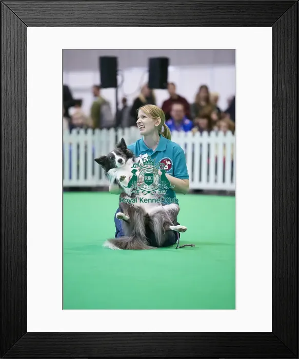 Framed Print : Crufts 2018 Framed Print : Crufts 2018