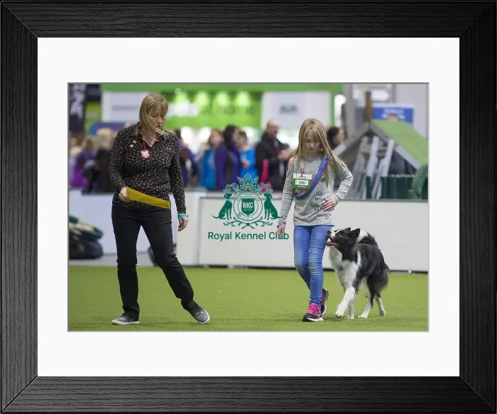 Framed Print : Crufts 2018 Framed Print : Crufts 2018