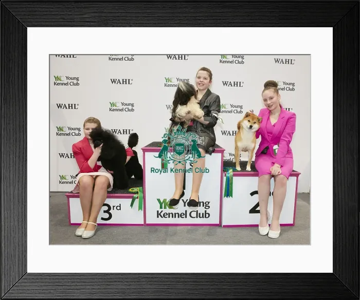 Framed Print : Crufts 2018