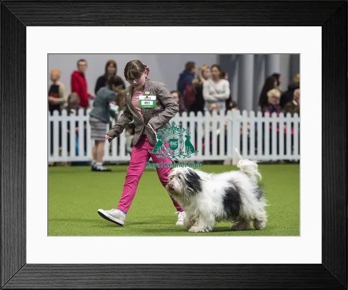 Framed Print : Crufts 2018 Framed Print : Crufts 2018