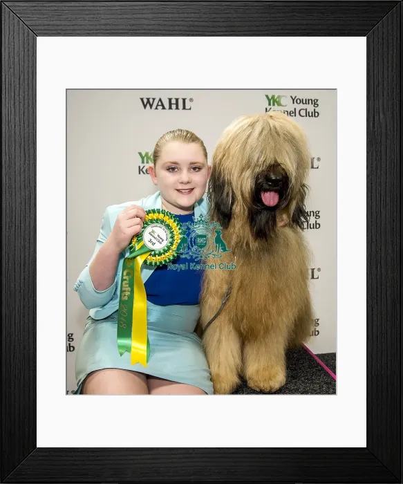 Framed Print : Crufts 2018 Framed Print : Crufts 2018