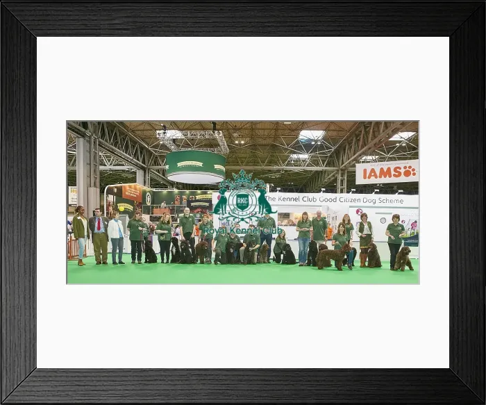 Framed Print : Crufts 2018 Framed Print : Crufts 2018