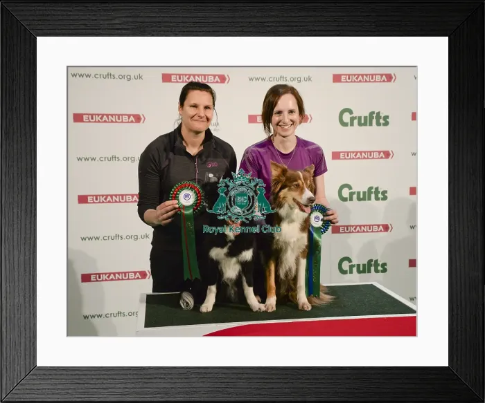 Framed Print : Crufts 2018 Framed Print : Crufts 2018