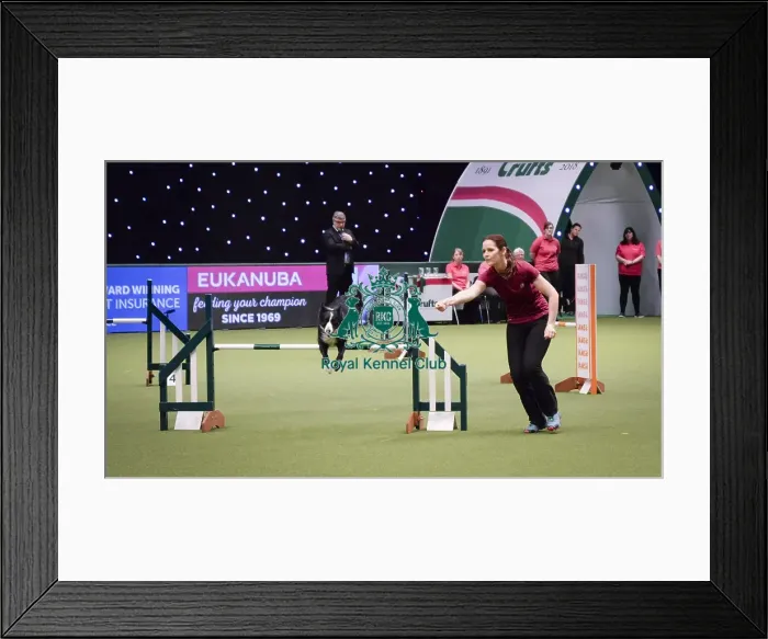 Framed Print : Crufts 2018 Framed Print : Crufts 2018
