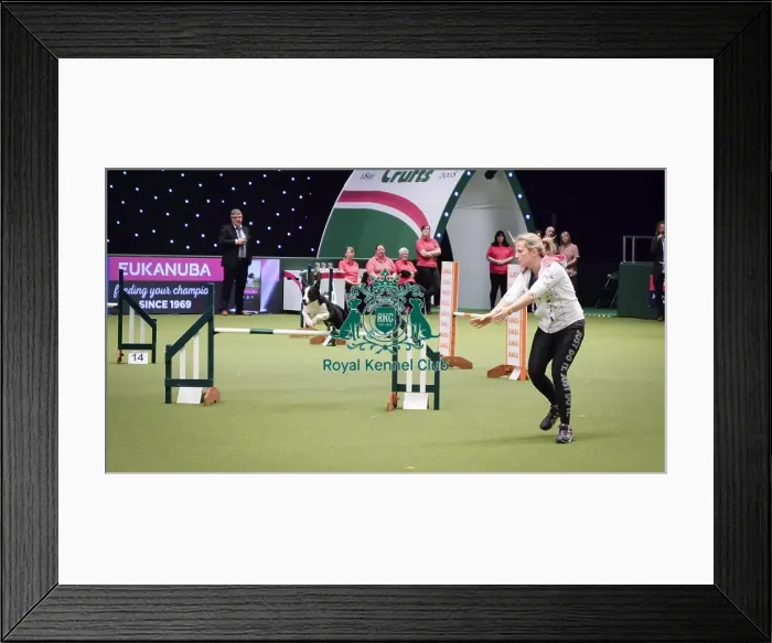 Framed Print : Crufts 2018 Framed Print : Crufts 2018