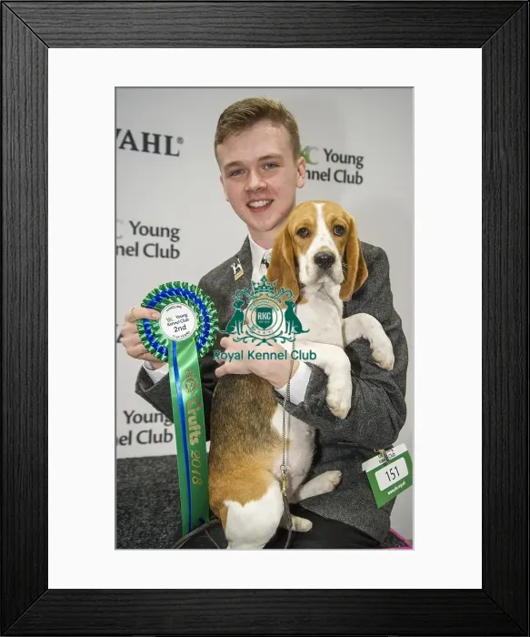 Framed Print : Crufts 2018 Framed Print : Crufts 2018